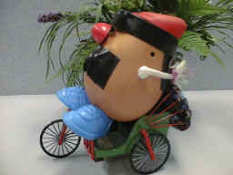 The tater is bound and gagged and led through town on a trishaw