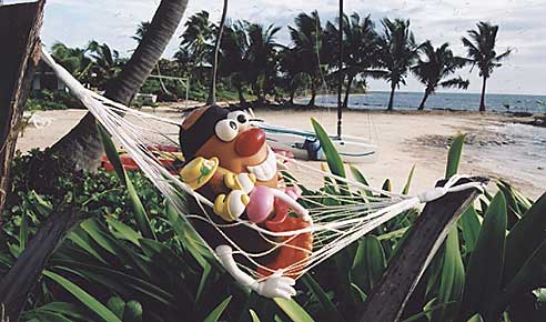 Spud & Mandy get up close and personal in a beachfront hammock