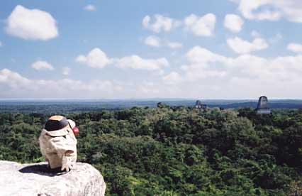 The lost city of Tikal emerges above the jungle canopy