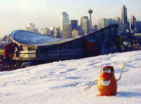 Spud wonders if the underside of the saddledome has a sticky blue surface...