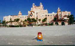 Spud works on his golden lustre on the beach at St. Petersburg