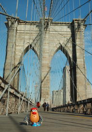 Spud takes a stroll on the Brooklyn Bridge