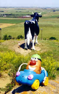Spud drops by to visit the world's largest bovine - Salem Sue
