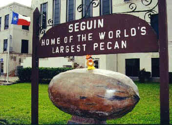 One of Texas' most revered belongings: the world's largest pecan