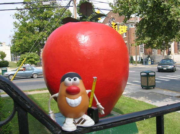 You call that a giant apple???