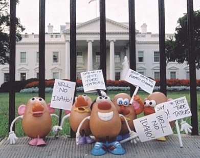 Spud leads his potato brethren in protest